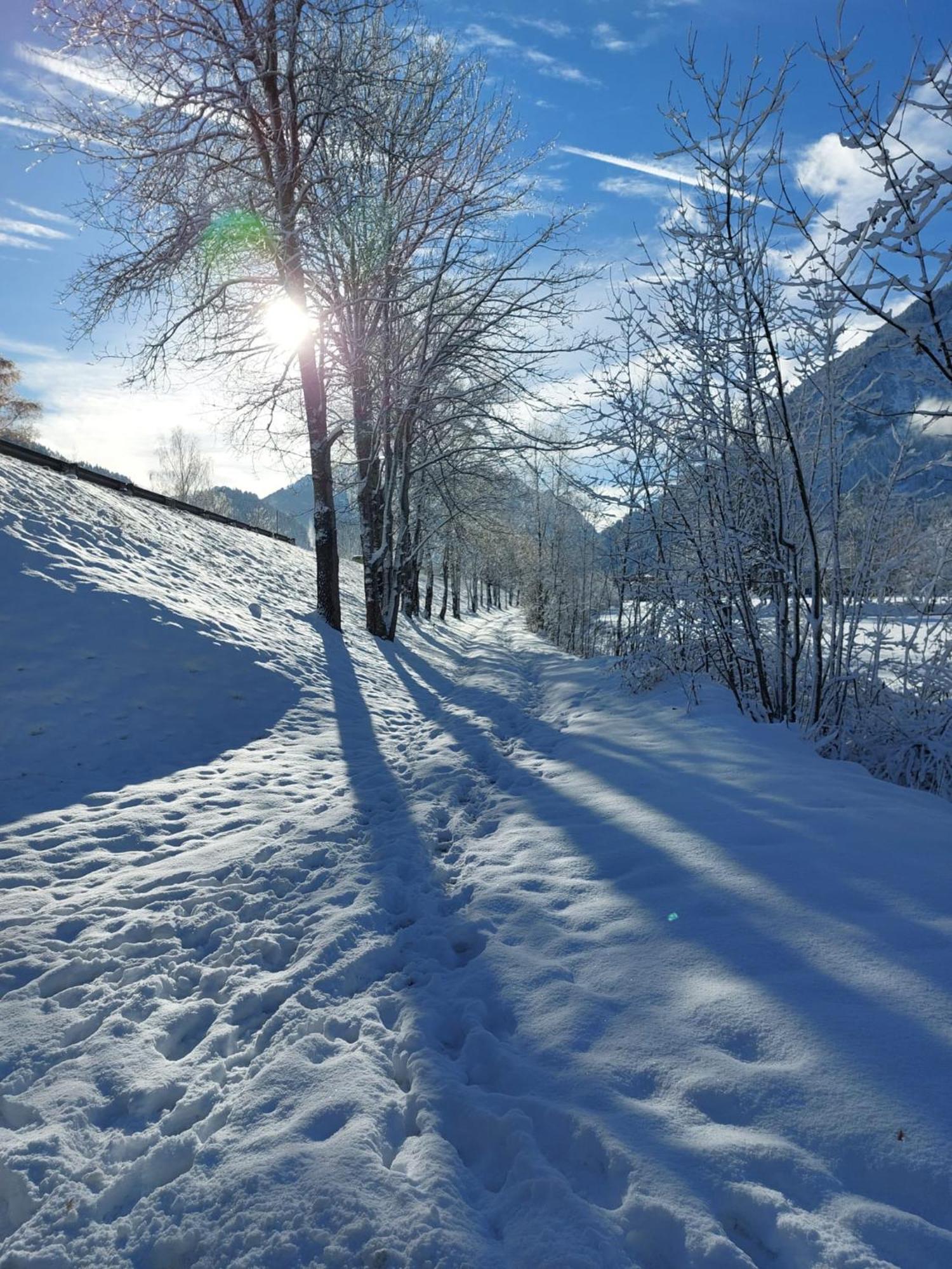 Alpapart Hornberg Höfen Zewnętrze zdjęcie