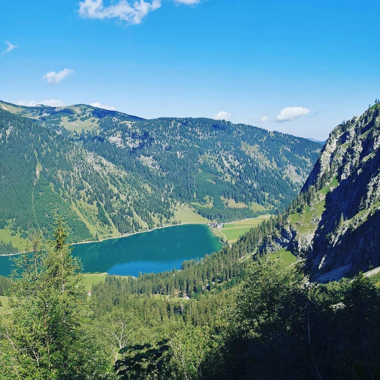 Alpapart Hornberg Höfen Zewnętrze zdjęcie